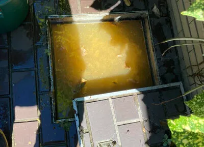 排水管・汚水管の重度の詰まり（高圧洗浄作業）