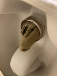 東大阪市でトイレにタオルを流されて詰まってしまった